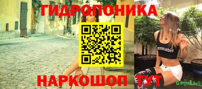 a pvp Канаш