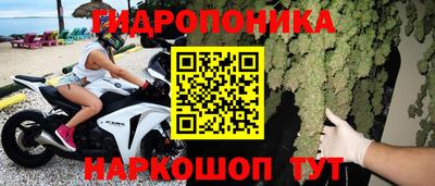молекула духа Камышлов