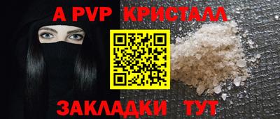 молекула духа Камышлов