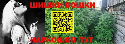 молекула духа Камышлов