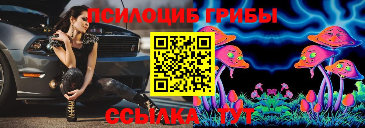 Псилоцибиновые грибы ЛСД Зерноград