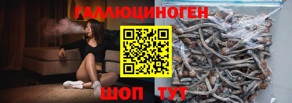 Галлюциногенные грибы прущие грибы  Псилоцибиновые грибы мицелий  Зерноград  Вход с VPN 